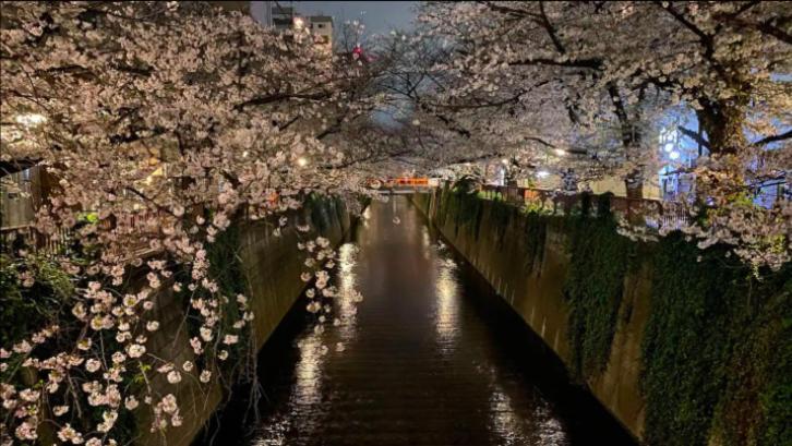 Tsunoya Appartement Tokio Buitenkant foto